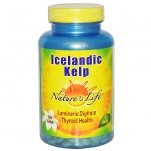  Natures Life Icelandic Kelp 500 