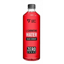 Напиток Fitness Food Factory  слабогазированный L-carnitine 2000 500 мл
