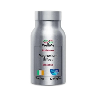  WellMe Magnesium Effect 120 